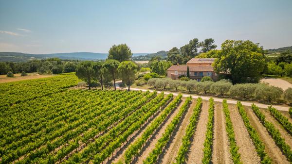 Vignoble du XVIIIᵉ siècle dans le Luberon avec gites – Une propriété d’exception en Provence