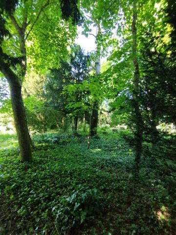 UN BIEN RARE ET UNIQUE SUR LA COMMUNE DE PUSSAY