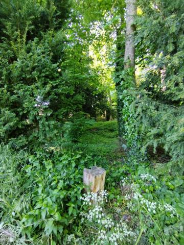 UN BIEN RARE ET UNIQUE SUR LA COMMUNE DE PUSSAY