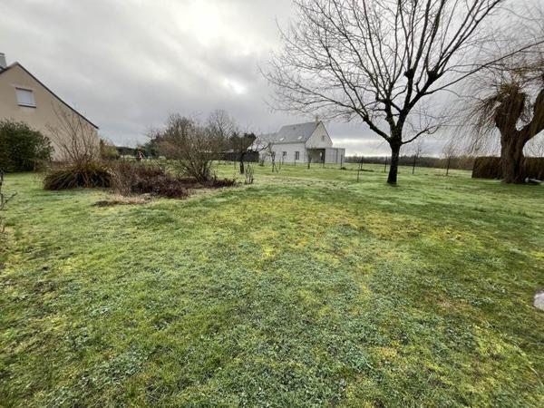 Terrain à vendre |  Cour-Cheverny |  700 m²