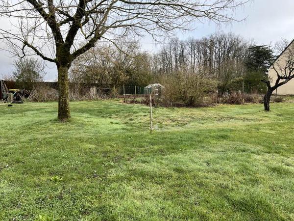 Terrain à vendre |  Cour-Cheverny |  700 m²