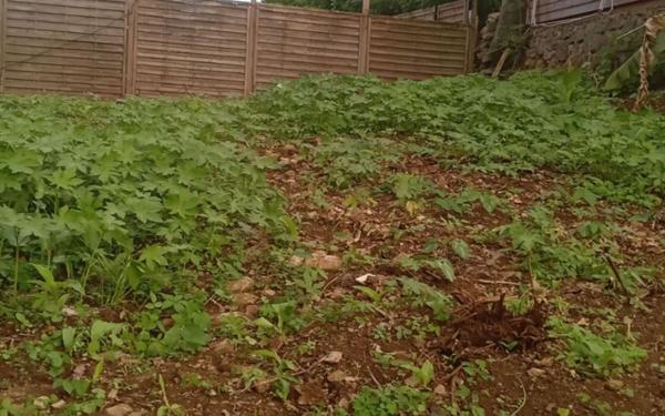 Terrain à vendre    Saint-Denis