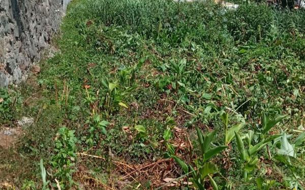 Terrain à vendre    Saint-Denis