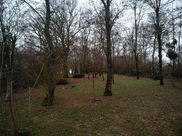 Terrain de loisirs - Bois - Etang à vendre à Saint-Outrille dans le Cher (18310), ref : 142136G