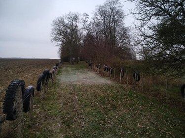 Terrain de loisirs - Bois - Etang à vendre à Saint-Outrille dans le Cher (18310), ref : 142136G