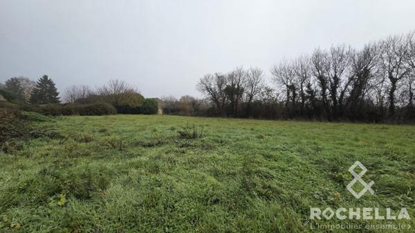 TERRAIN à batir au calme