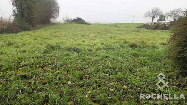 TERRAIN à batir au calme