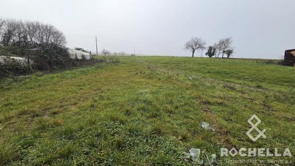 TERRAIN à batir au calme