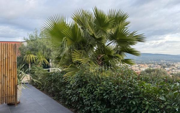 Vente Villa neuf La ciotat   