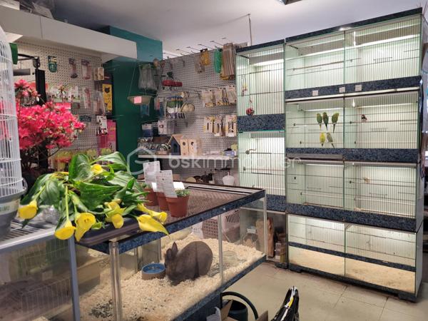 Local commercial de 359,99 m²