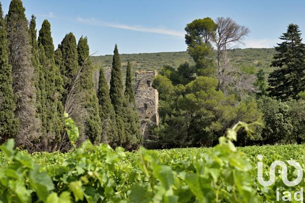 House for sale 30 rooms 845 m² Trèbes