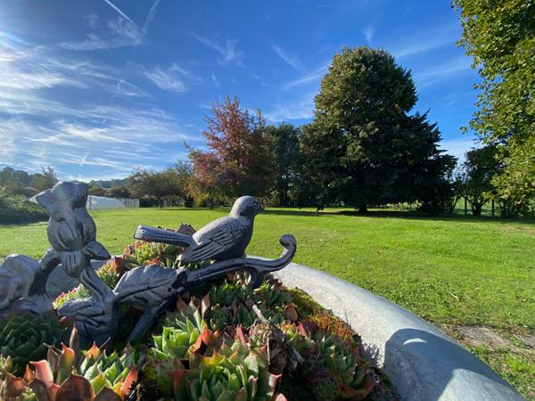 Maison sur sous-sol complet dans un environnement calme avec un parc clos et arboré !