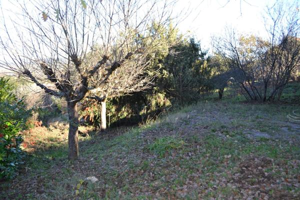Maison T6 -136 m2 jardin constructible 1750 m2, forage