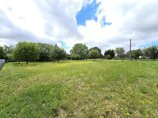 Vente / Terrain constructible