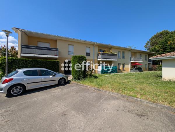 Appartement 3 pièces - 51 m² Exclusivité efficity