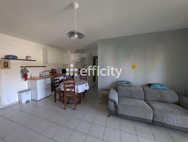 Appartement 3 pièces - 51 m² Exclusivité efficity