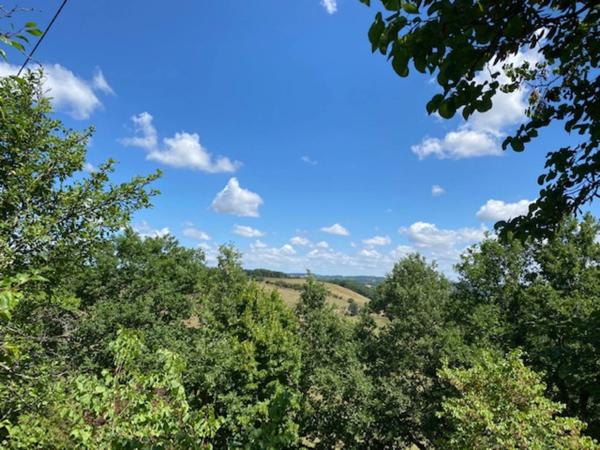 Dpt Tarn (81), à vendre PUYLAURENS maison P9 de 260 m² - Terrain de 5 571,00 m²