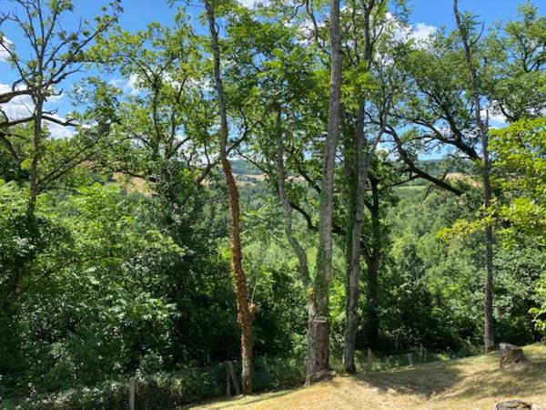 Dpt Tarn (81), à vendre PUYLAURENS maison P9 de 260 m² - Terrain de 5 571,00 m²