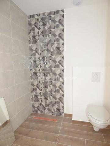 Maison à louer 5 pièces BAINS SUR OUST (35)