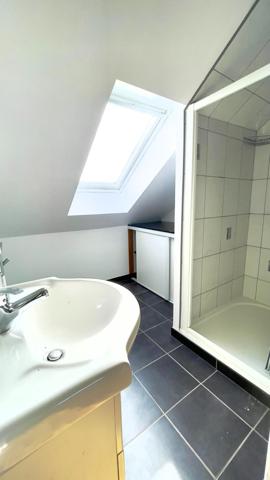 Centre ville de MAYENNE