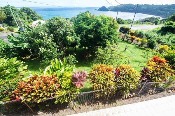 Immeuble à vendre  8 pièces • 240 m2 Le Marigot