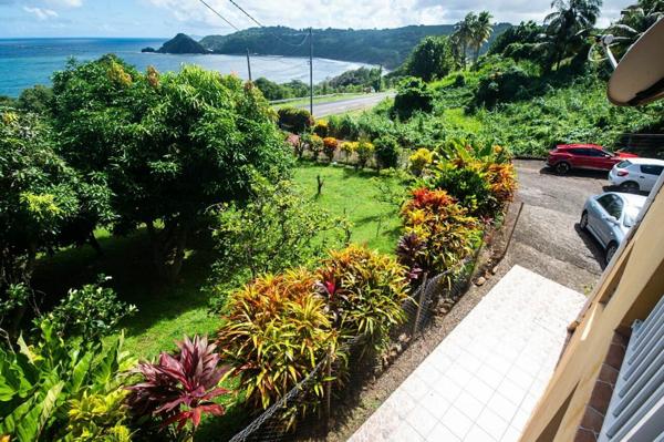 Immeuble à vendre  8 pièces • 240 m2 Le Marigot
