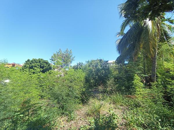 Terrain de 727 m²
