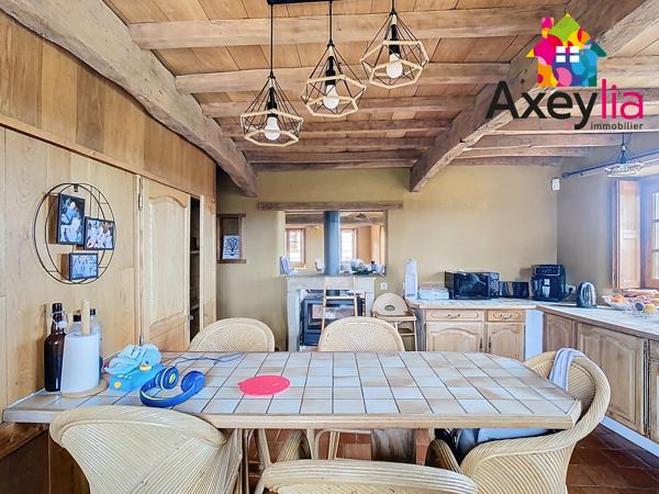 A VENDRE- VÉZELIN SUR LOIRE- PROPRIÉTÉ D'EXCEPTION AVEC VUE LOIRE-
