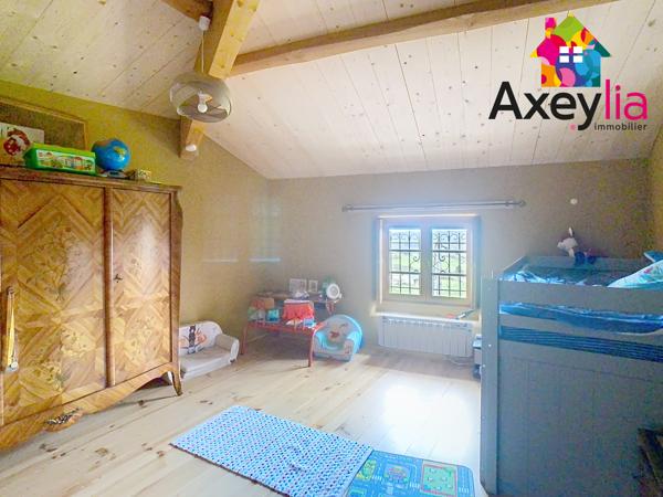 A VENDRE- VÉZELIN SUR LOIRE- PROPRIÉTÉ D'EXCEPTION AVEC VUE LOIRE-