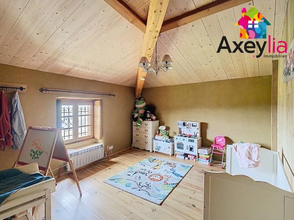 A VENDRE- VÉZELIN SUR LOIRE- PROPRIÉTÉ D'EXCEPTION AVEC VUE LOIRE-