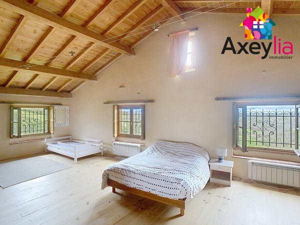 A VENDRE- VÉZELIN SUR LOIRE- PROPRIÉTÉ D'EXCEPTION AVEC VUE LOIRE-