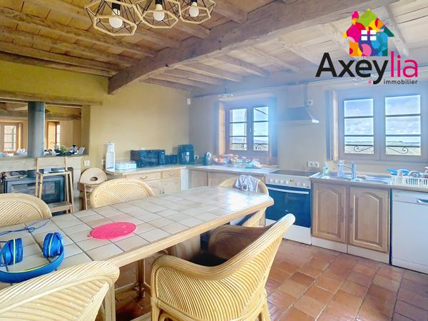 A VENDRE- VÉZELIN SUR LOIRE- PROPRIÉTÉ D'EXCEPTION AVEC VUE LOIRE-