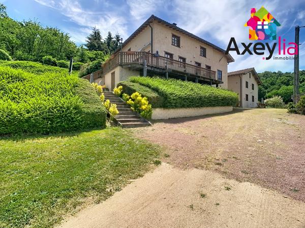 A VENDRE- VÉZELIN SUR LOIRE- PROPRIÉTÉ D'EXCEPTION AVEC VUE LOIRE-