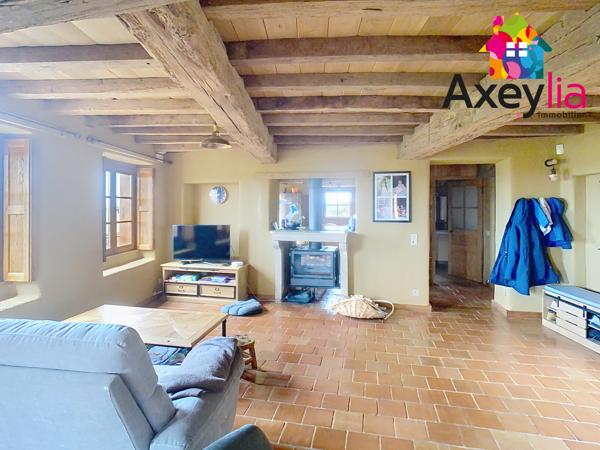 A VENDRE- VÉZELIN SUR LOIRE- PROPRIÉTÉ D'EXCEPTION AVEC VUE LOIRE-