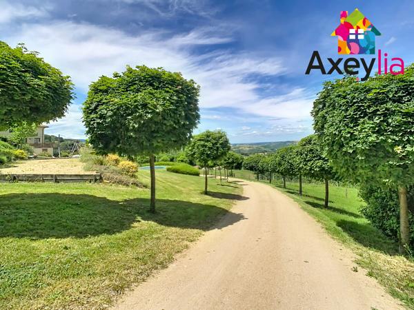 A VENDRE- VÉZELIN SUR LOIRE- PROPRIÉTÉ D'EXCEPTION AVEC VUE LOIRE-