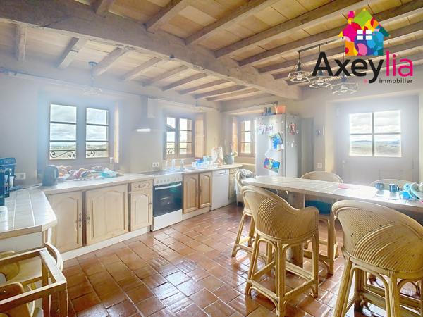 A VENDRE- VÉZELIN SUR LOIRE- PROPRIÉTÉ D'EXCEPTION AVEC VUE LOIRE-