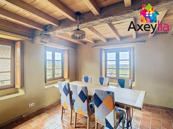 A VENDRE- VÉZELIN SUR LOIRE- PROPRIÉTÉ D'EXCEPTION AVEC VUE LOIRE-