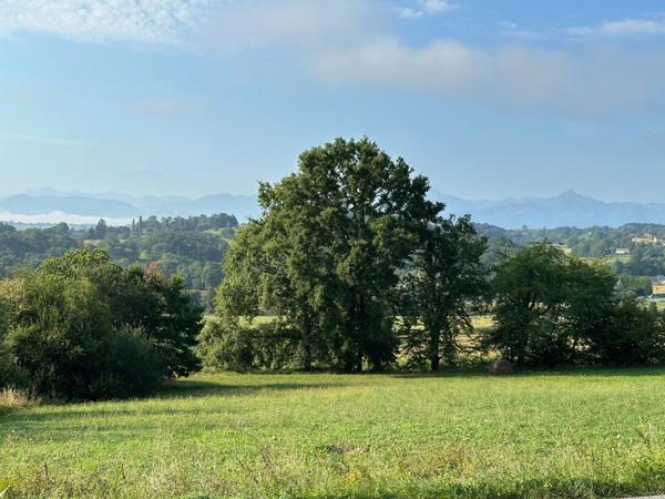 Dpt Hautes Pyrénées (65), à vendre Terrain de 2945 m2 avec CU et viabilisé.