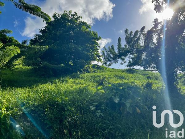 Terrain à vendre 437 m² Le Lamentin