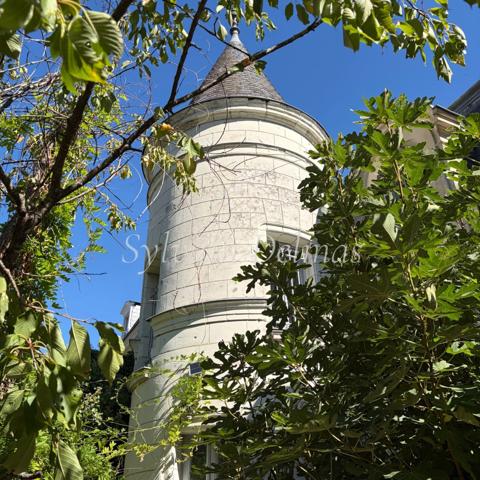 Propriete à vendre 10 pièces SAINT AVERTIN (37)
