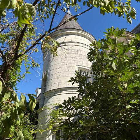 Propriete à vendre 10 pièces SAINT AVERTIN (37)