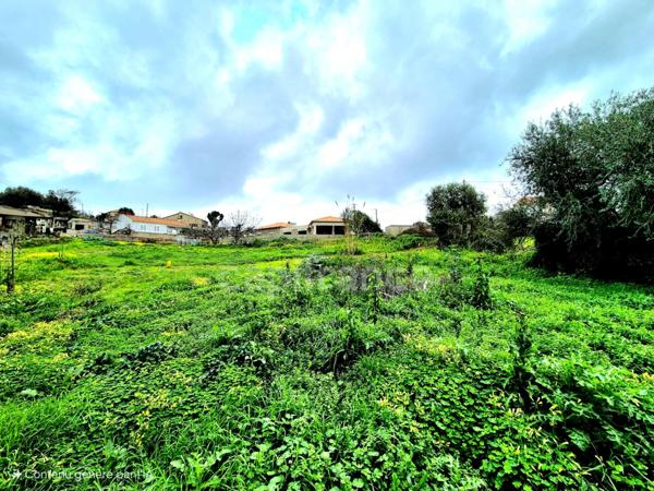 Terrain constructible à vendre BASTIA 20600 - Proche centre ville