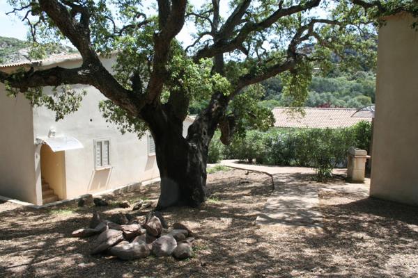 Maison à vendre 3 pièces PORTO VECCHIO (20)