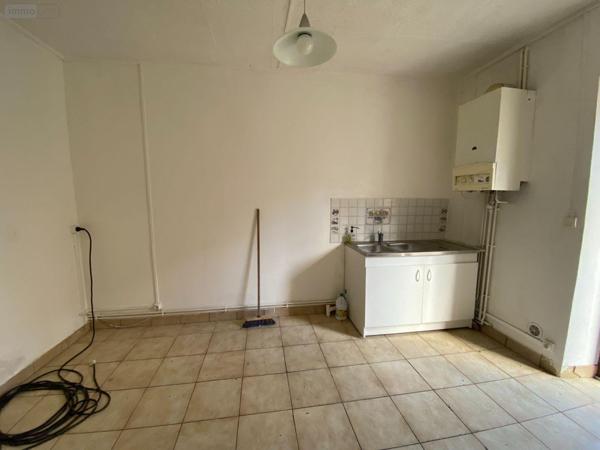 Maison à vendre à Buzançais dans l'Indre (36500), ref : 1049603