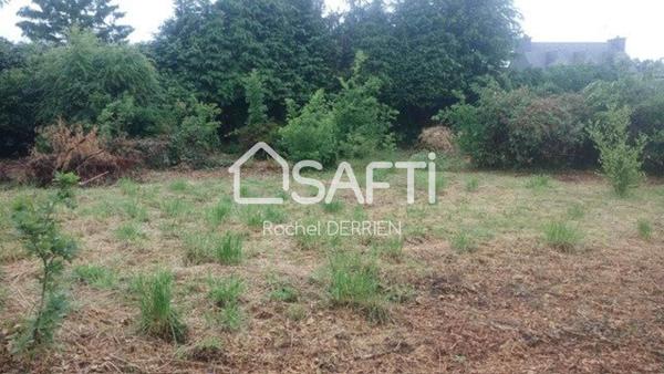 Terrain constructible