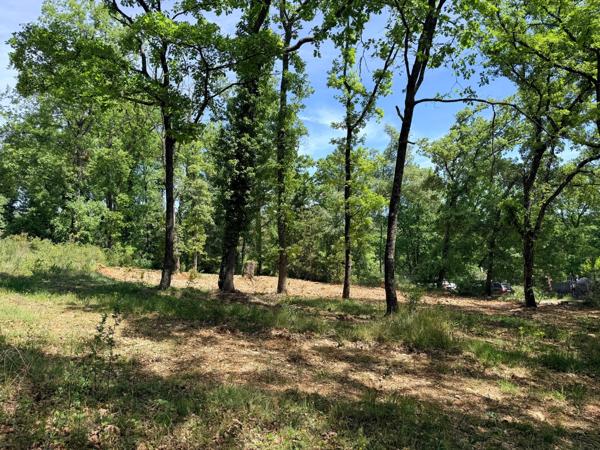 Terrain constructible avec permis à CALLIAN (83)