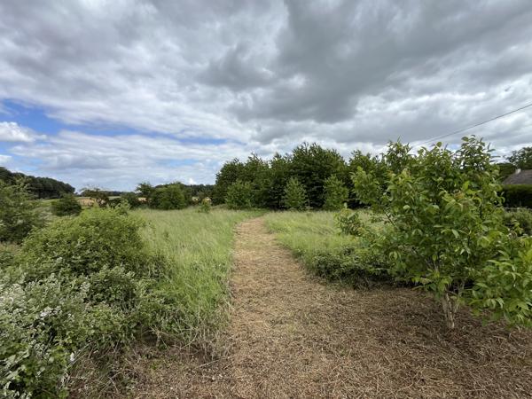 Terrain constructible arboré de 2 896 m² dans un environnement privilégié - La Madeleine de Nonancourt