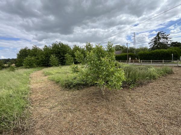 Terrain constructible arboré de 2 896 m² dans un environnement privilégié - La Madeleine de Nonancourt