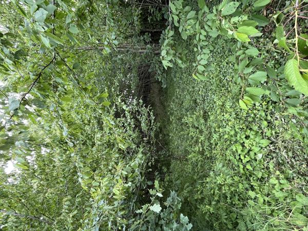 Terrain constructible arboré de 2 896 m² dans un environnement privilégié - La Madeleine de Nonancourt