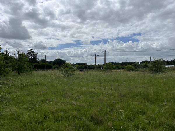 Terrain constructible arboré de 2 896 m² dans un environnement privilégié - La Madeleine de Nonancourt